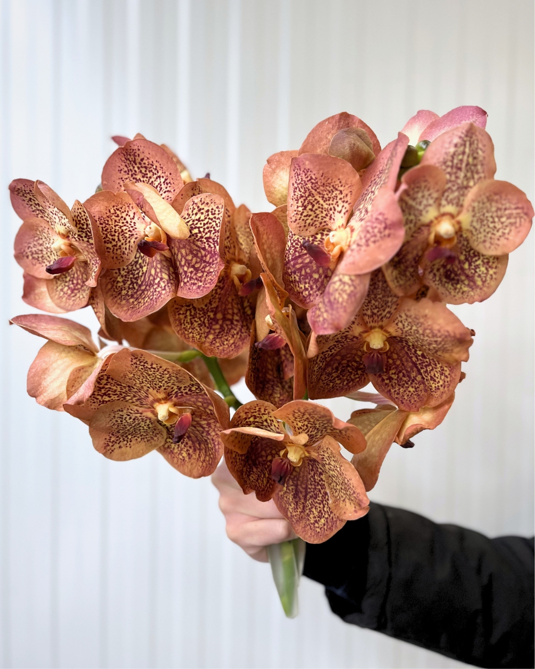 Earth and Form floral inspiration