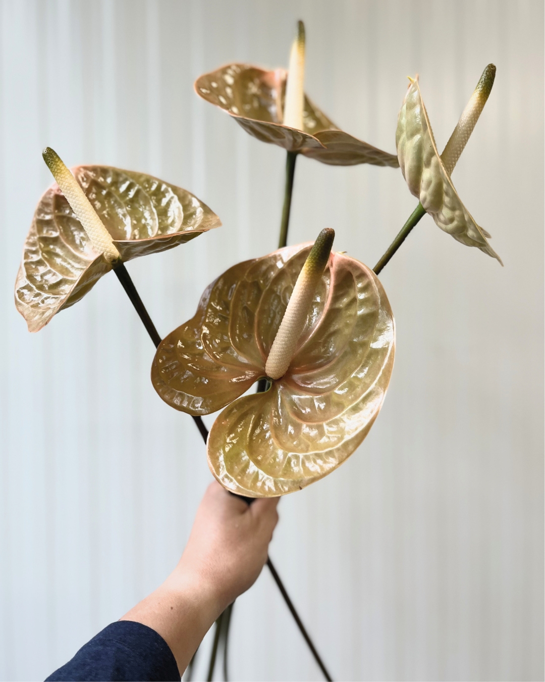 Earth and Form floral inspiration